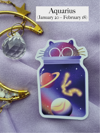 Galaxy Jar Cat Aquarius